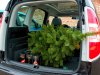 Nissan Note � Skoda Roomster - ���� 3